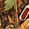 spices processor in India